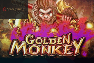 Golden Monkey